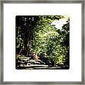 Summer In The Mountains Framed Print