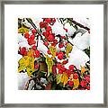 Summer Meets Winter Framed Print