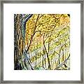 Sunlit Forest Framed Print