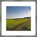 Sunrise Over Hay Field Framed Print