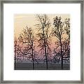 Sunrise Silhouette Framed Print