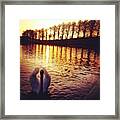 Sunset Swan For #skystyles_sunset_002 Framed Print