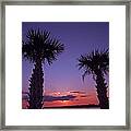 Sunset Through The Palms Framed Print