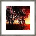 Sunset Through The Trees Framed Print