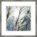 Sunshine Ornamental Framed Print