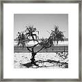 Suntree Framed Print