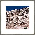 Survival In The Wilderness Framed Print