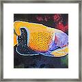 Sutton Fish Framed Print