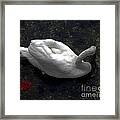 Swan With Leaf Framed Print