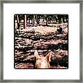Sweet Ride Yesterday In The Woods Framed Print