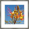 Tall And Bright Framed Print