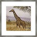 Tanzanian Native Framed Print