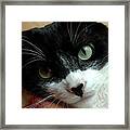 Tell Me About Your Day Framed Print