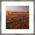 Texas Hay Field 3 Framed Print