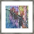 Texture Of Nature 1 Framed Print