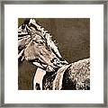 Textured Horses Framed Print