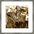 Thawing Sepia Leaves Framed Print