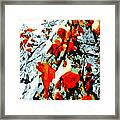 The Autumn Leaves And Winter Snow Framed Print