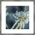 The Beauty Of Winter Framed Print