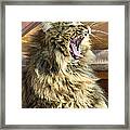 The Cat Who Loves To Sing Framed Print
