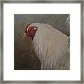 The Colonel Framed Print