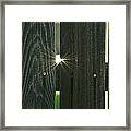 The Day Of The Flares Framed Print