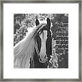The Eyes Are The Window To The Soul Framed Print