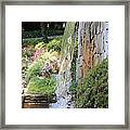 The Fall Framed Print