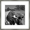 The Farm Framed Print