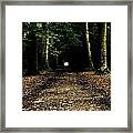 The Forest Tunnel Framed Print