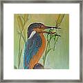 The Kingfisher And The Frog Framed Print