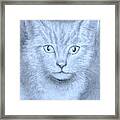 The Kitten Framed Print
