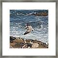 The Landing Framed Print