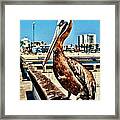The Mayor Of Venice Pier Framed Print