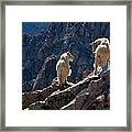 The Mountaineers Framed Print
