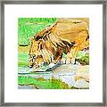 The Paws That Refreshes Framed Print