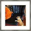 The Puppy Chase Framed Print