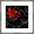 The Red Leaf Framed Print