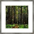 The Road Into The Green Framed Print