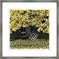 The Root Cellar Framed Print