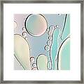 The Sea Bed Framed Print