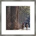The Significance Of Trees Framed Print