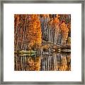 The Swimming Hole Framed Print