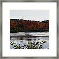 The Trees Are On Fire Framed Print