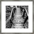 The Way Down Framed Print