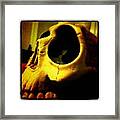 This Is My #skull #head Ashtray Framed Print