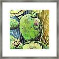 Those Bloomin' Cactus Framed Print