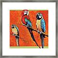 Captive Birds And Abstracted Rain Forest Framed Print