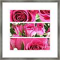 Three Pink Roses Landscape Framed Print
