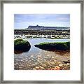 Tide Out Framed Print